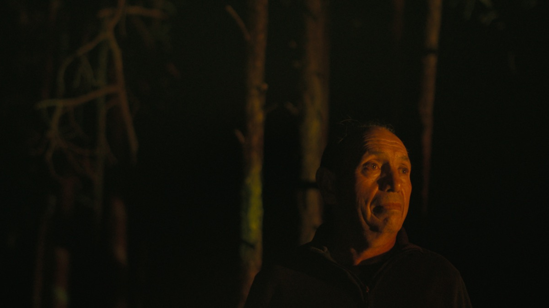 catapult-film-fund-films-burn-scar