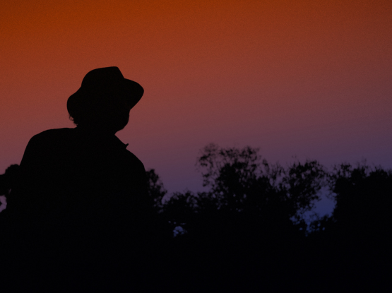 Untitled Petra Costa Project